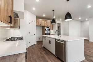 21-web-or-mls-1806-N-Black-Elm-Ln-21