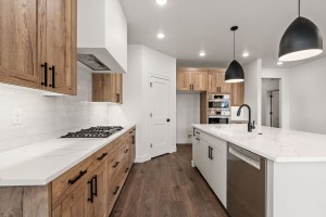 20-web-or-mls-1806-N-Black-Elm-Ln-20