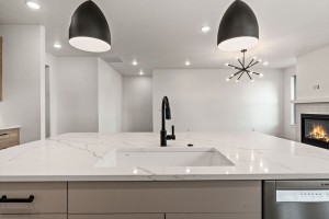 22-web-or-mls-1806-N-Black-Elm-Ln-22